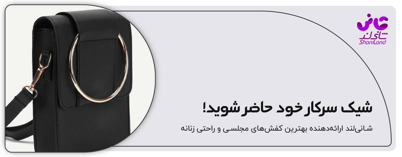کیف پاسپورتی برای سرکار
